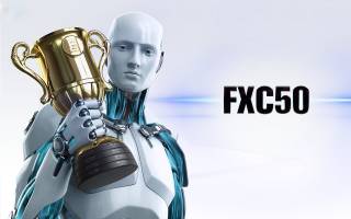 FXC50: отзывы и оценки прибыльного робота из Поднебесной